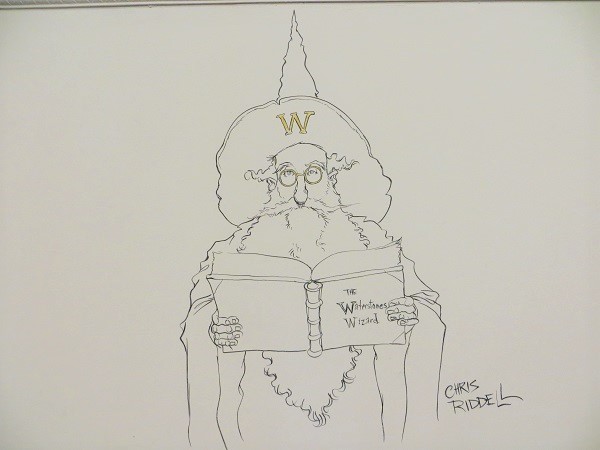 Cardiff s 12.08.17 (6)