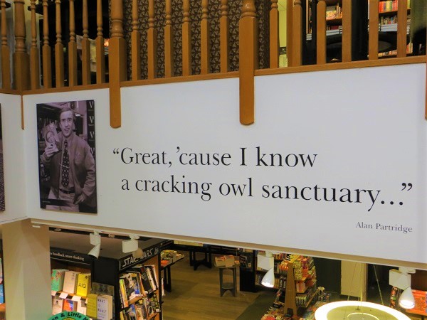 Norwich 13.07.18 (8)